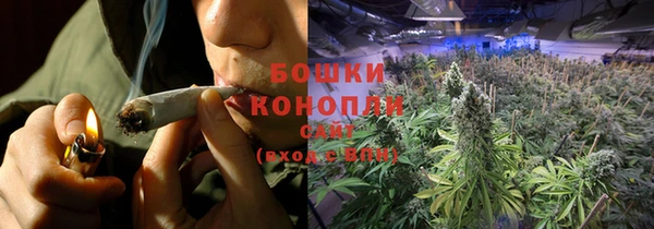 ECSTASY Абаза