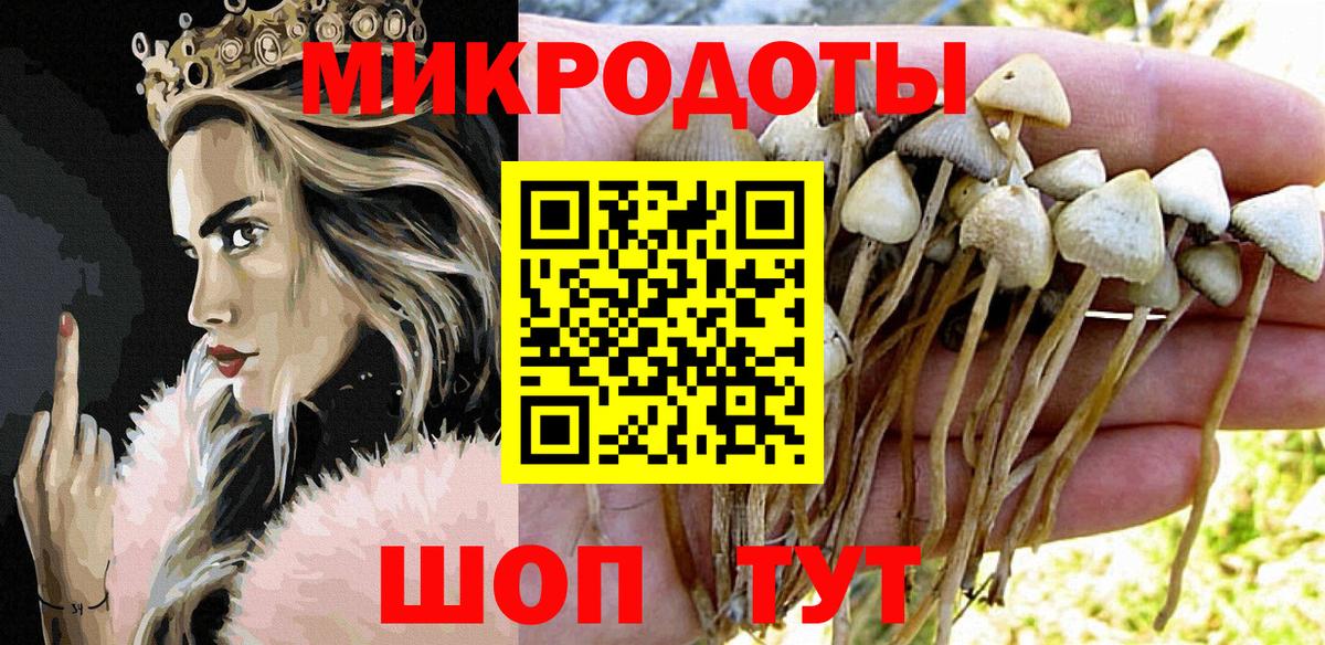 Псилоцибиновые грибы MAGIC MUSHROOMS  Галлюциногенные грибы Psilocybine cubensis  Вход с VPN  Курчатов 